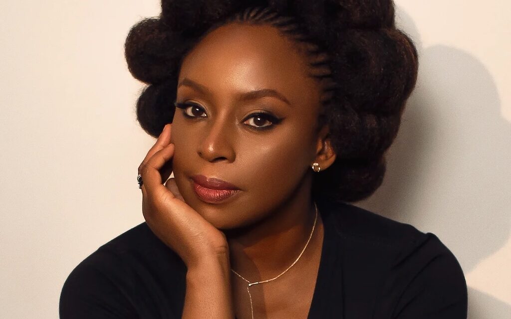 Court pauses investigation into Adichie’s son's death