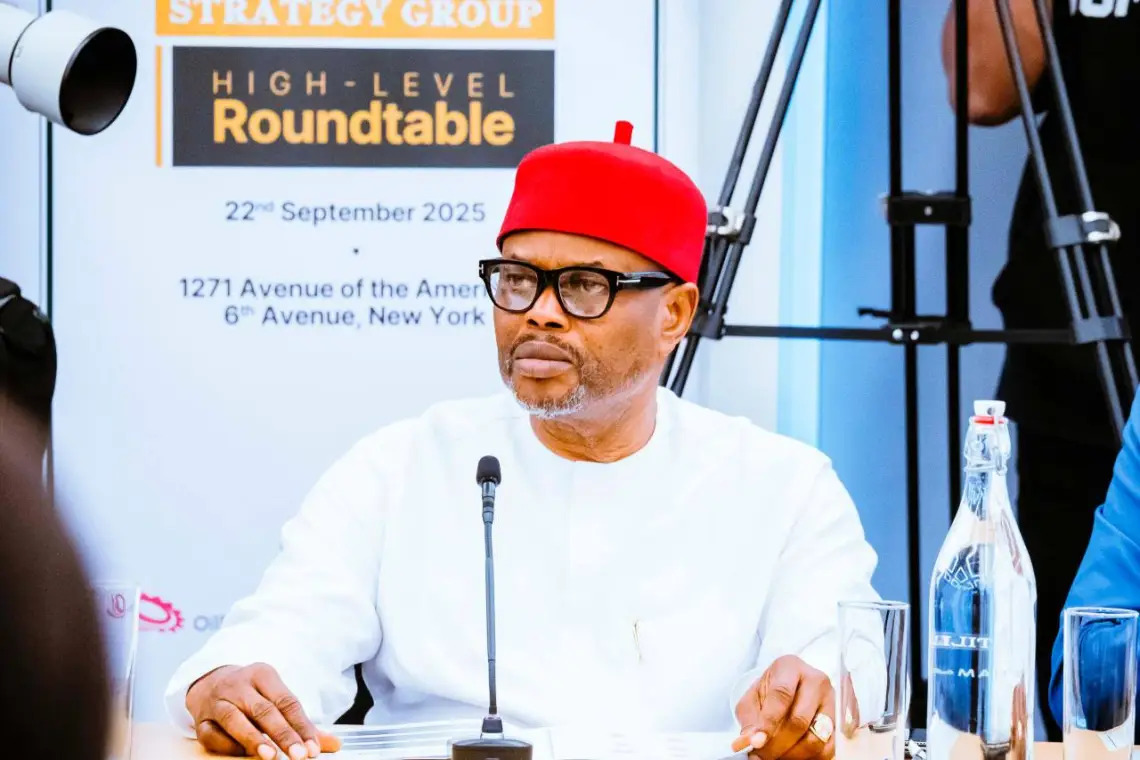 New Problems for Uche Nnaji as Police Question Aide Over Defamation of Ex-UNN VC