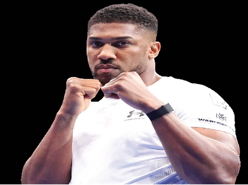 Anthony Joshua shows interest in MMA fight