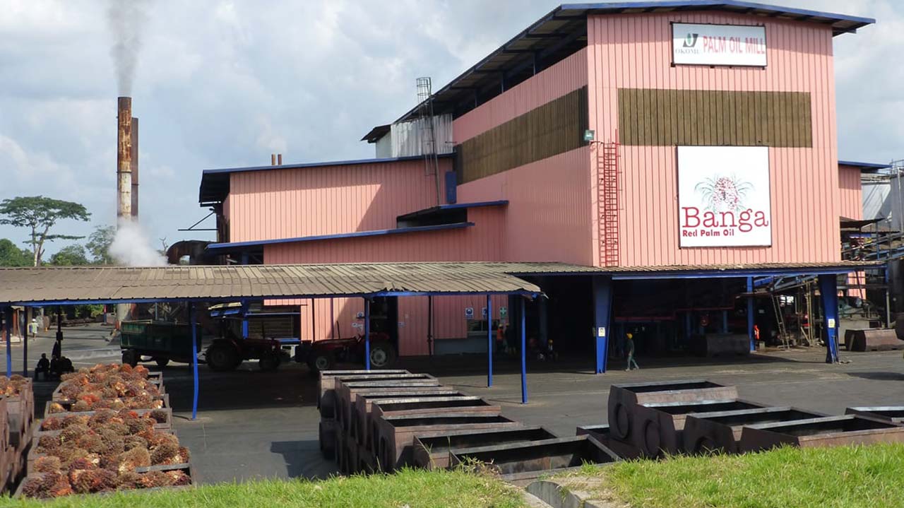 Okomu Oil shareholders approve N14.3 billion final dividend payout
