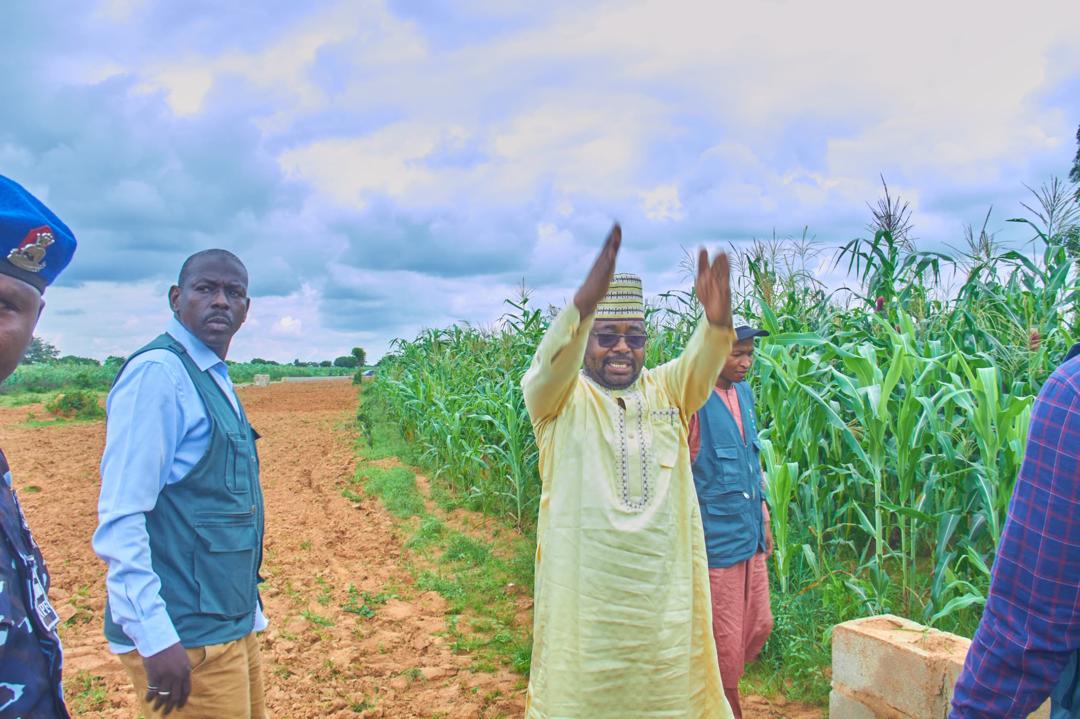 Kano State to Restore 371 Grazing Reserves After Governor's Order