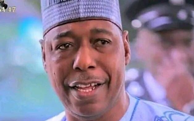 Borno State brings back 720 ex-Boko Haram fighters, total reaches nearly 10,000