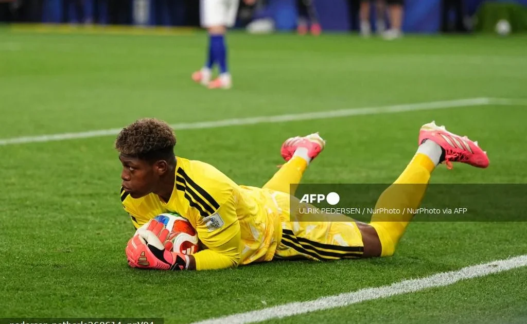 Akpeyi praises Japan's Suzuki after draw with Netherlands