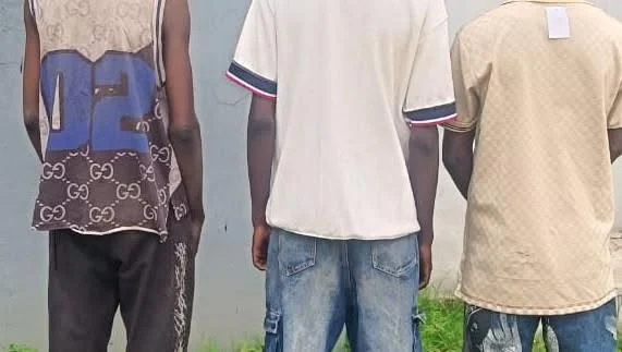 Police nab three suspected gang members in Adamawa