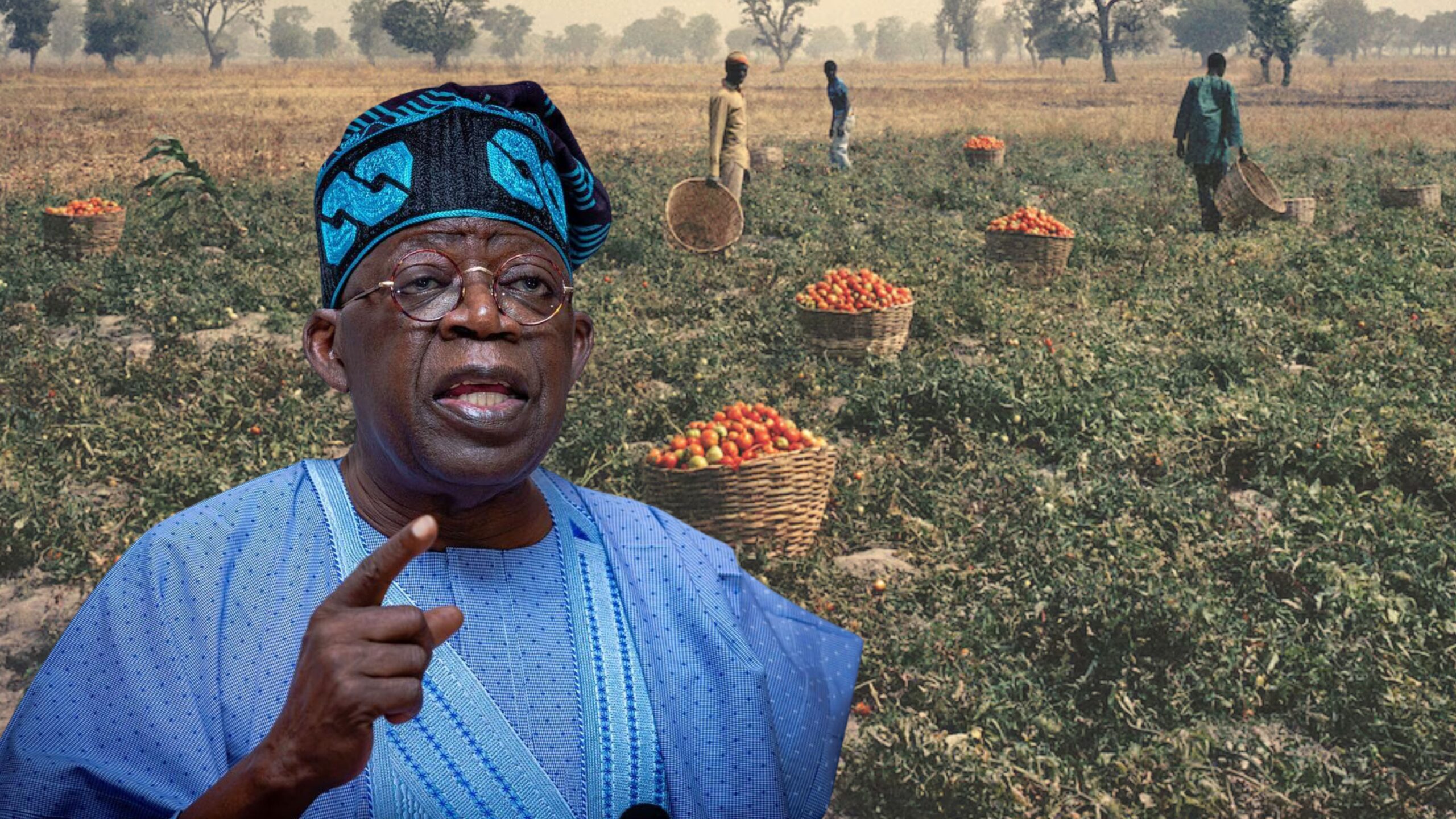 Nigeria secures over 449,000 tonnes of fertiliser to boost food production