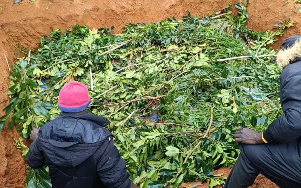 Death toll from Plateau community attack rises to 20