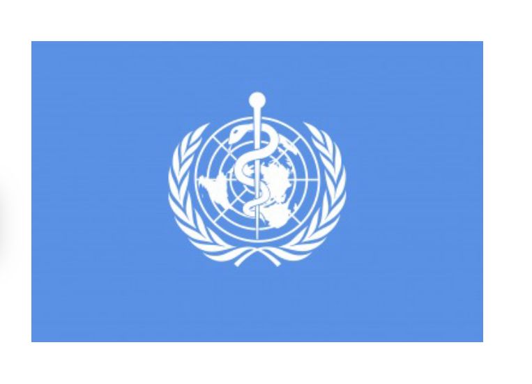 Ebola cases top 1,000 with 254 deaths, says WHO