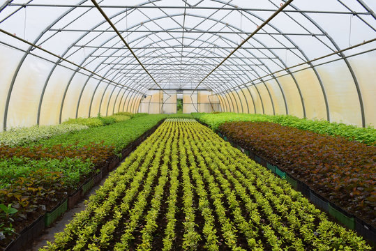 Jigawa State approves ₦2.4 billion for greenhouses, road compensation, and student support