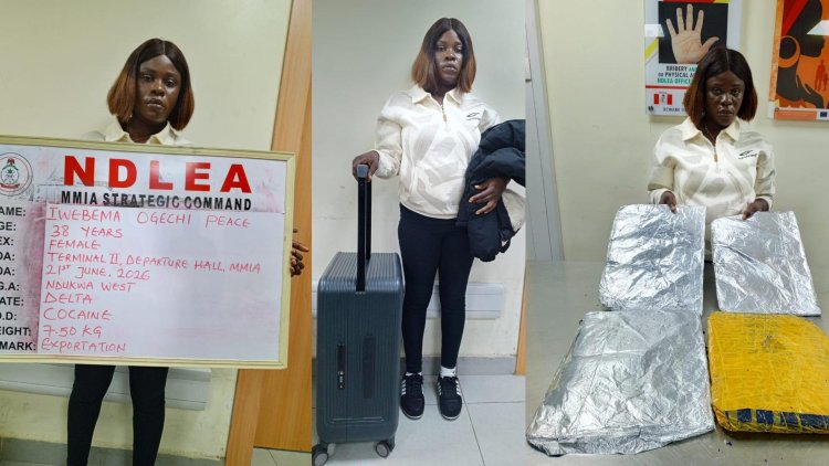 NDLEA catches N12.4bn cannabis shipment at Lagos port, arrests suspects
