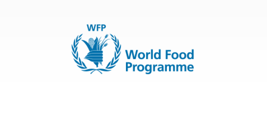 WFP needs $89 million to fight rising hunger in Nigeria