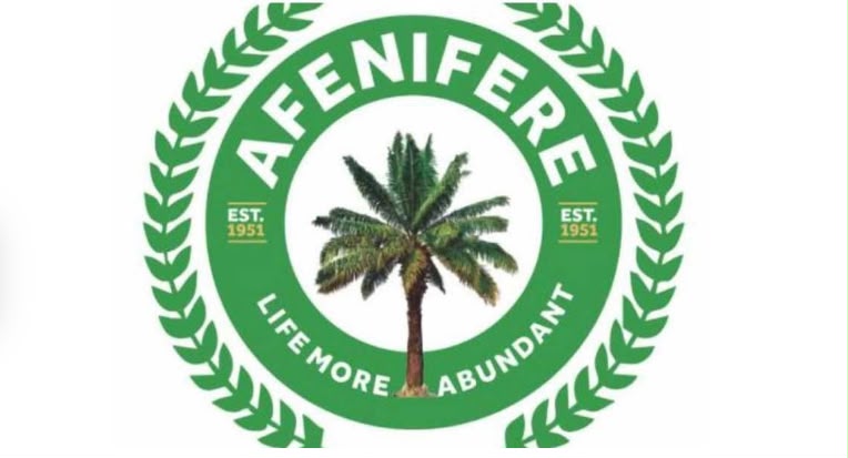 Afenifere Calls for Independent State Police