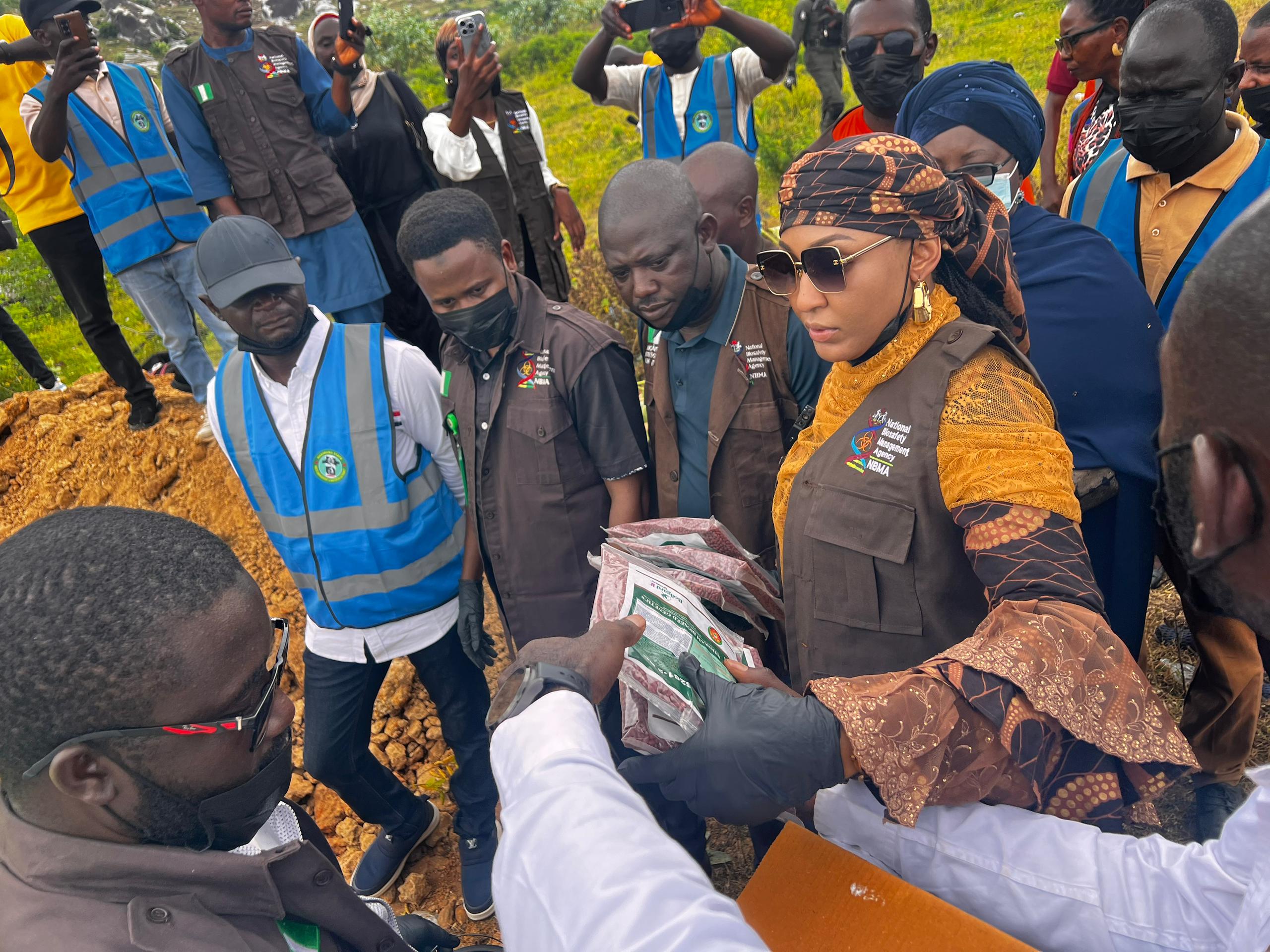 NBMA destroys 950kg of banned GM cotton seeds
