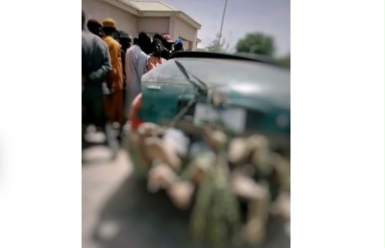 Bandits kill nine farmers, kidnap many in Kaduna attacks