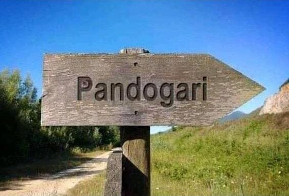 Bandit attacks in Niger and Kaduna disrupt farming and threaten food supply