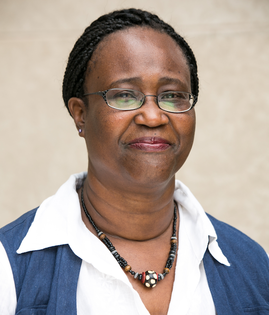 New Funding Opportunities for Nigerian NGOs After USAID Leaves