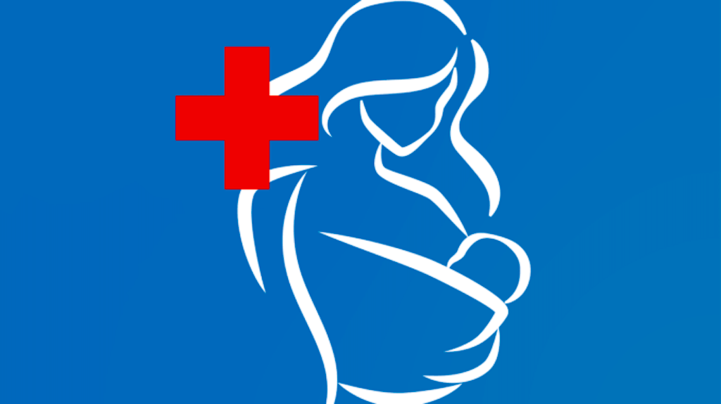 Nigeria's Fight Against Maternal Deaths Needs More Attention