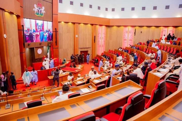 Senate approves new legal bills on crime management and lawyers