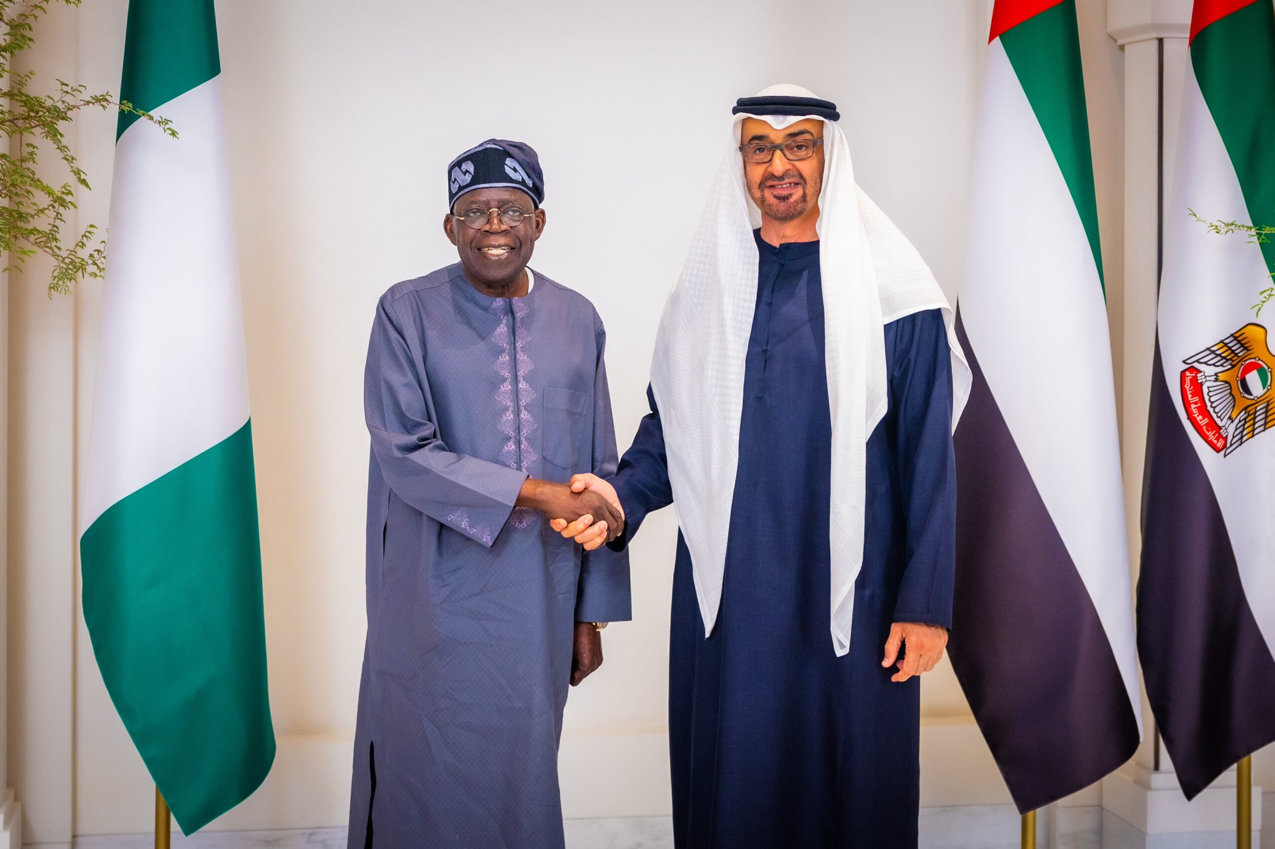 Misleading Economic Claims: Nigeria's Debt and UAE's Wealth