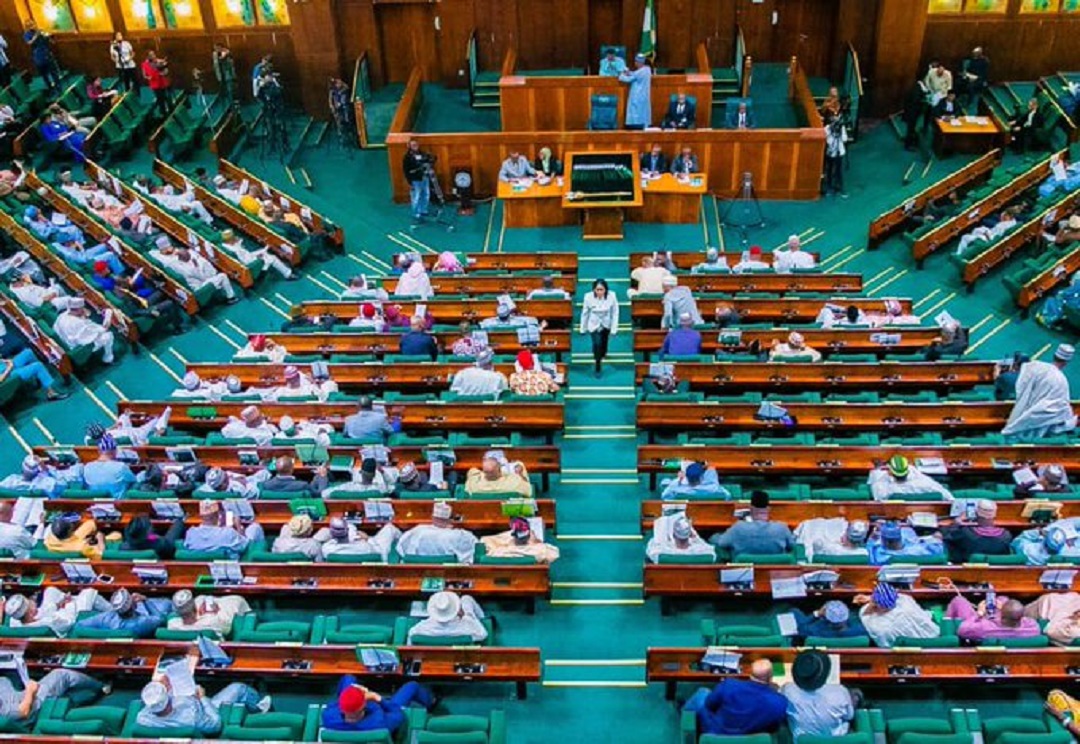 NASS Update: Tinubu's Call, Terrorist Rehabilitation Issues, Xenophobia, and More from the House of Reps