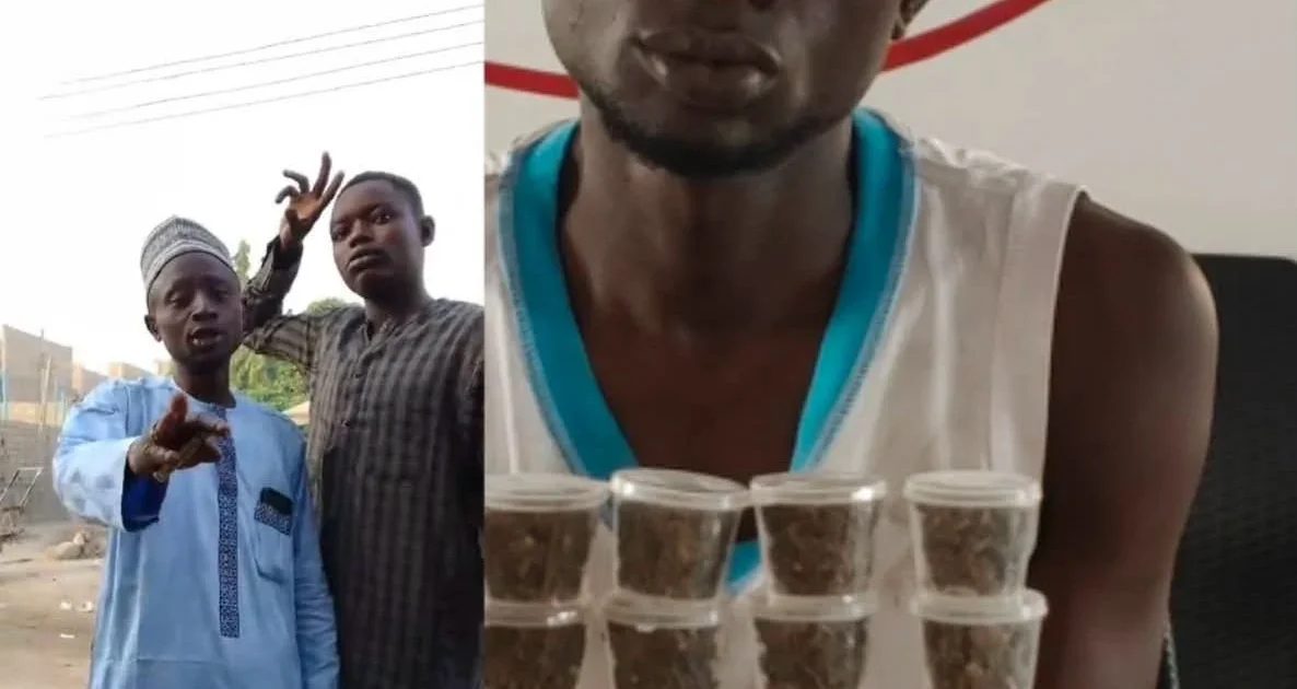 Kano Man Sentenced to Seven Years for Selling Cannabis Online