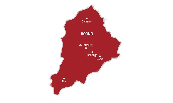Video Raises Alarm on School Safety as 78 Borno Students Still Missing