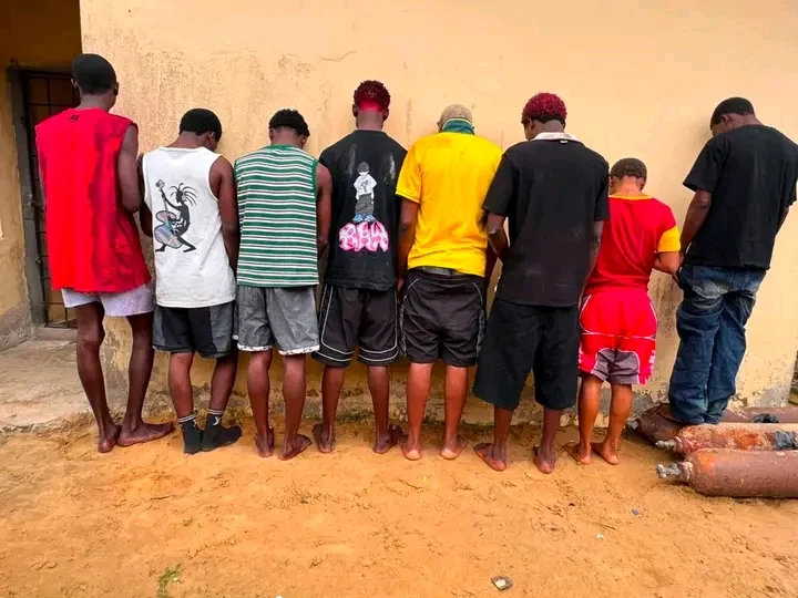 Police arrest eight suspected cultists for attacking NDU student in Bayelsa