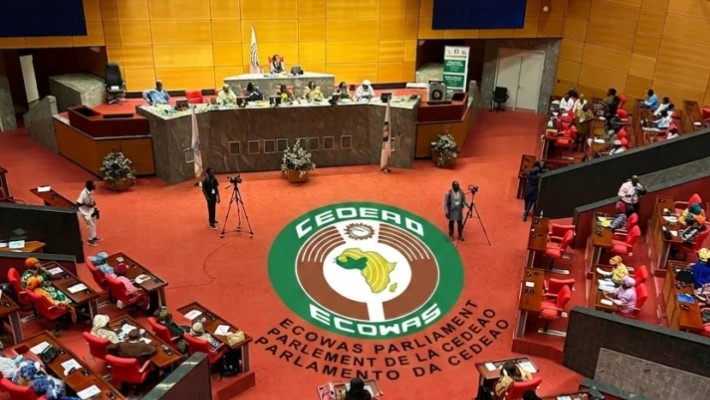 Nigeria Celebrates ECOWAS Support for Gas Pipeline Project