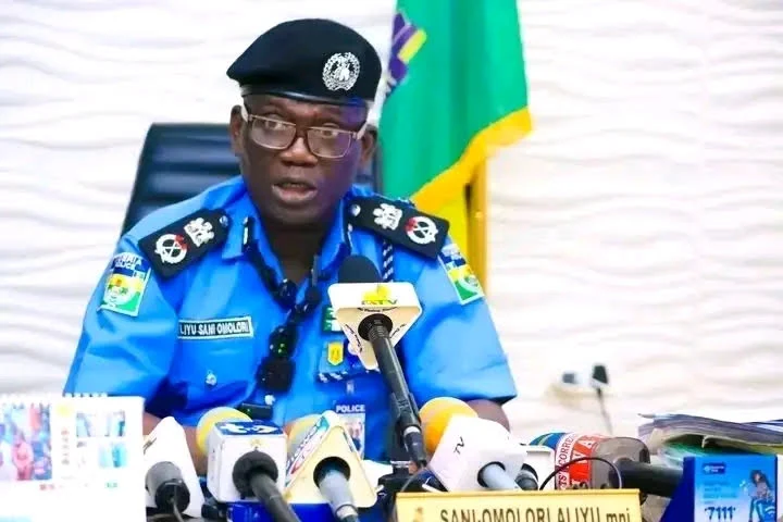 Police nab man for murder in Bauchi, seize gun