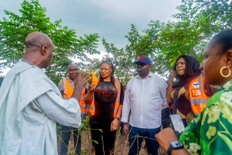 NEMA calls for peace after four herders are killed in Anambra