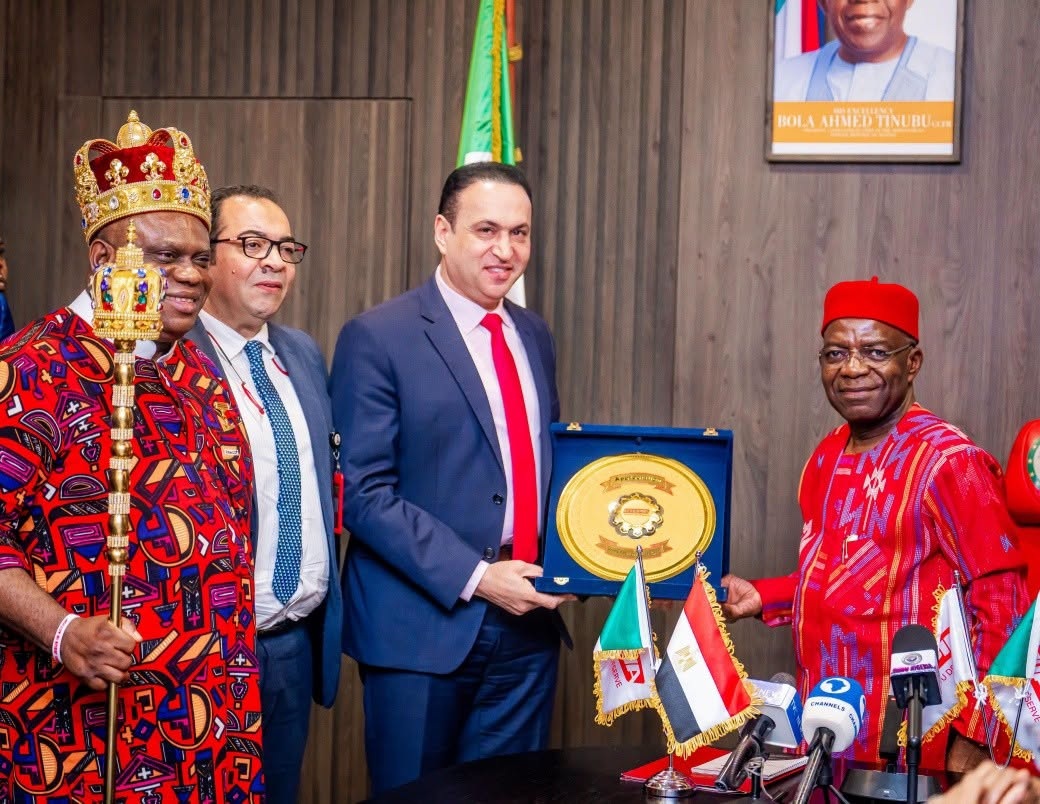 Egyptian Company to Build Drug Factory in Abia