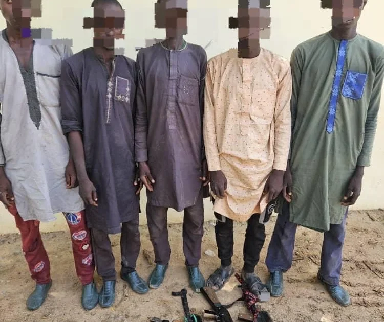 Army nabs five kidnappers in Yobe, seizes weapons