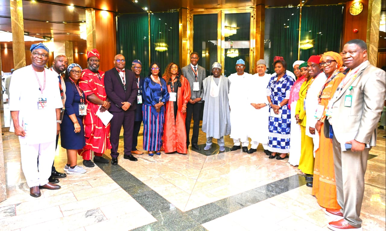 Tinubu calls on Nigerian doctors abroad to return and help