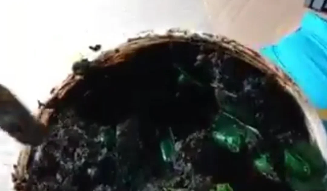 NDLEA finds tramadol hidden in black soap containers headed for UK