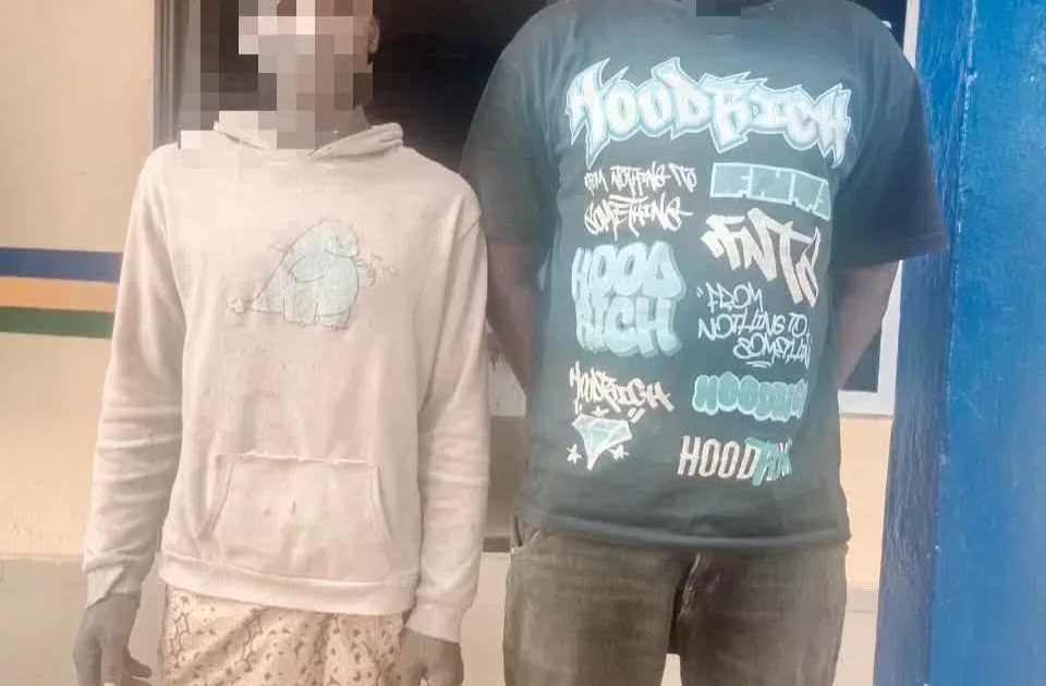 Police nab two for stealing cows and stop abduction attempt in Ogun
