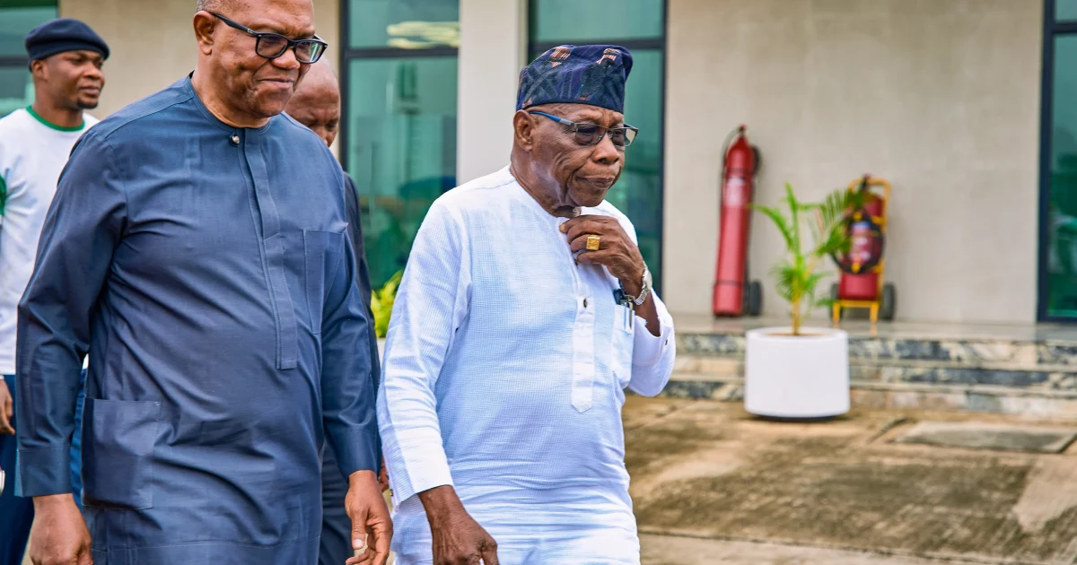 Photos: Peter Obi Meets Obasanjo