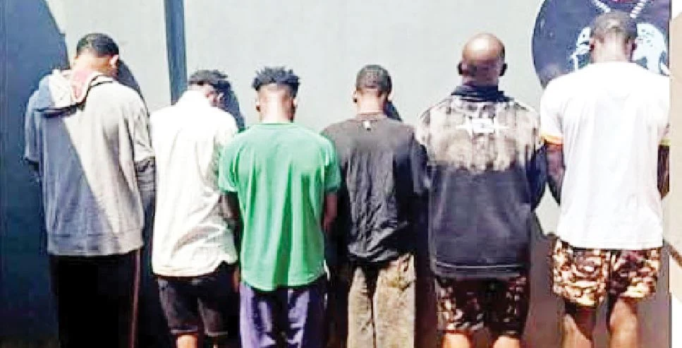 Police catch 14 suspected cult members in Enugu