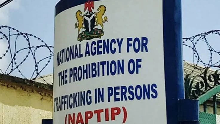 NAPTIP Saves 258 Victims of Human Trafficking in Jigawa