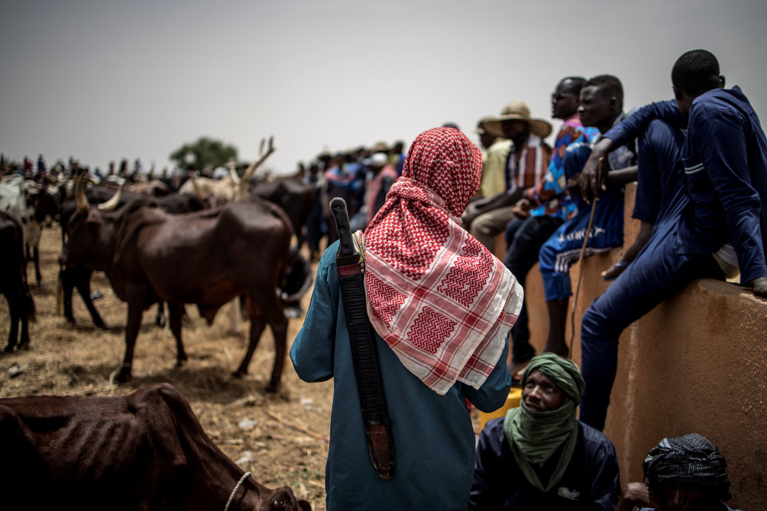 Niger State to Register Incoming Herders with New Permit System