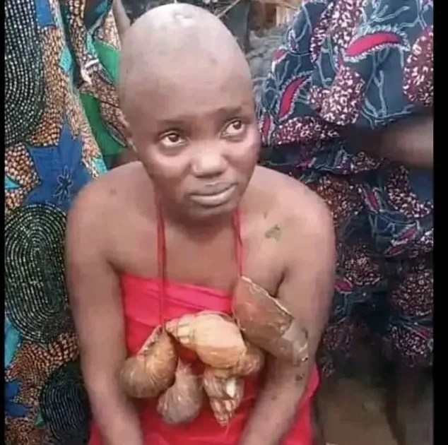 Oloolu Festival: TikToker Faces Allegations of Abuse - Sowore