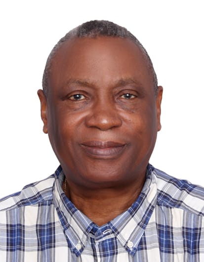 We Need a House of Chiefs in Our Constitution