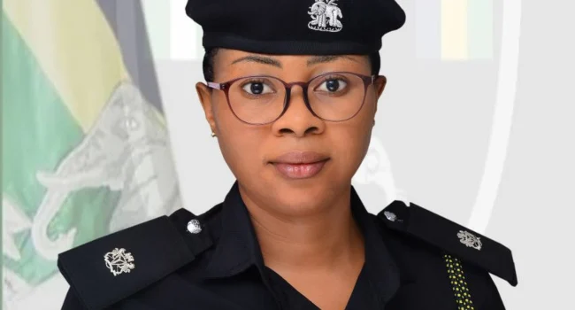 Police find bandits' hideout, recover guns and bullets