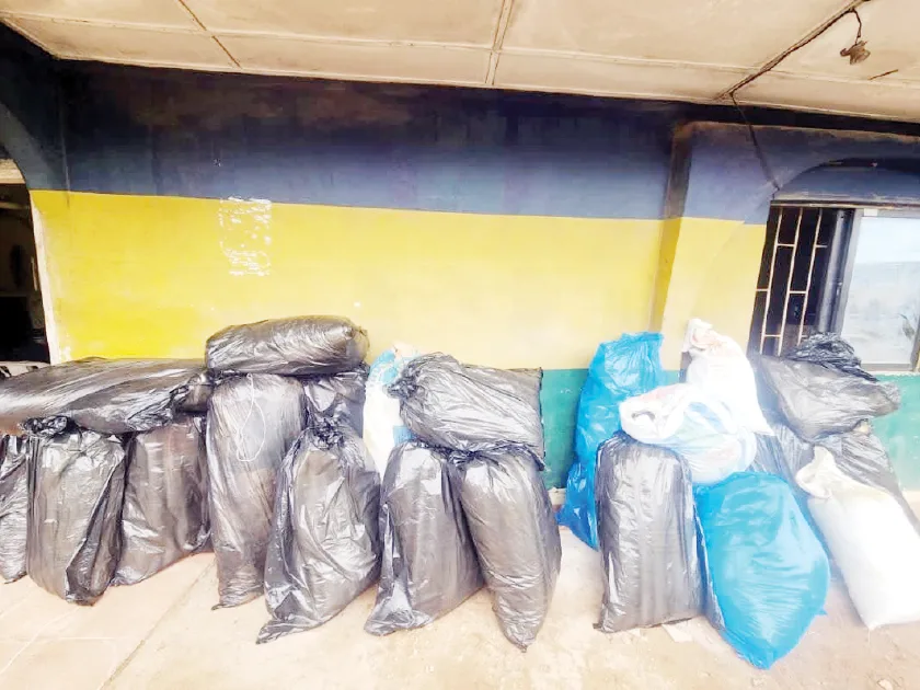 Police crack down on drug hideout in Delta, nab 56-year-old man