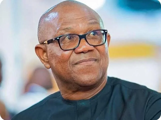 Peter Obi speaks out on the dangers of unverified credentials in leadership