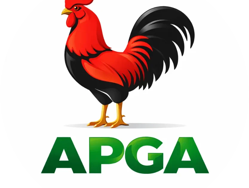 APGA Candidate Urges Women to Promote Peace