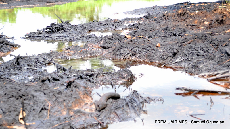 Bayelsa is one of Nigeria's most polluted states, says environmentalist