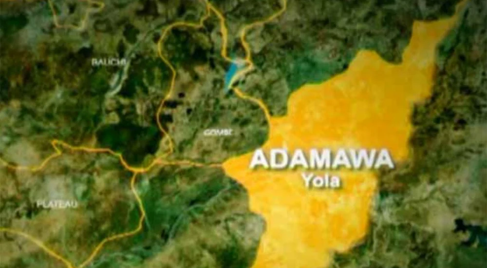 Police arrest man for stabbing a woman to death in Adamawa