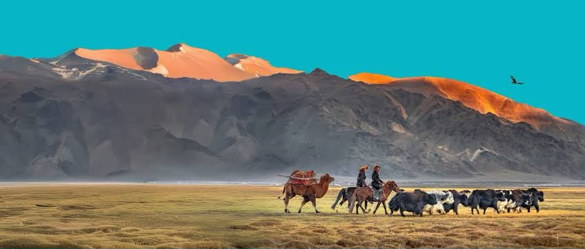 Nigeria Faces Deepening Rangeland Crisis as COP17 Approaches