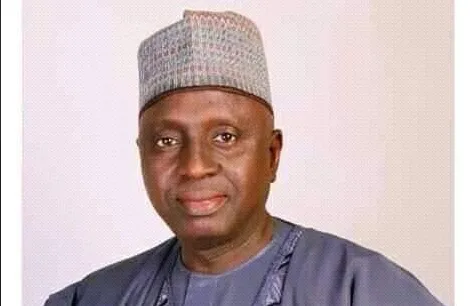 Former Senator Says Ex-Governors Use Senate to Avoid Accountability