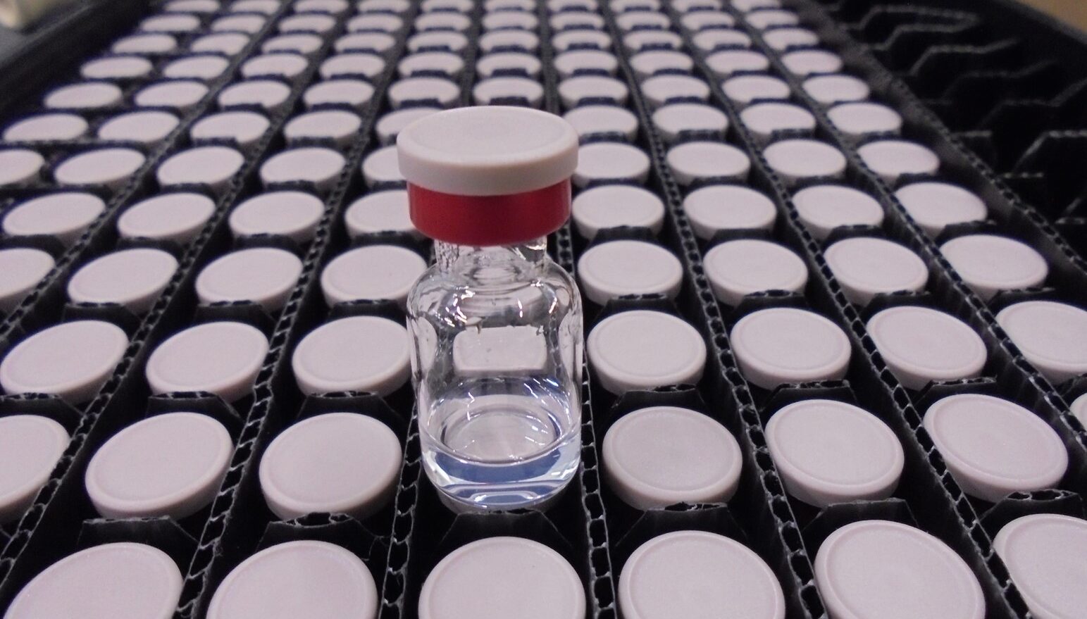 Government sets up task force to tackle diphtheria outbreaks in Kano and Katsina