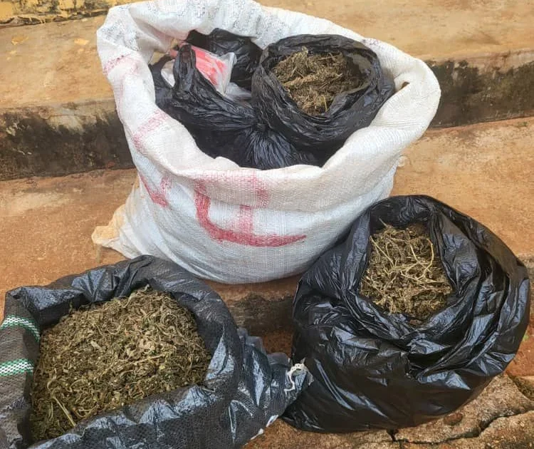 Police arrest suspected drug dealer with ₦5.8m drugs in Anambra